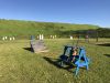 IMG_2811.jpeg